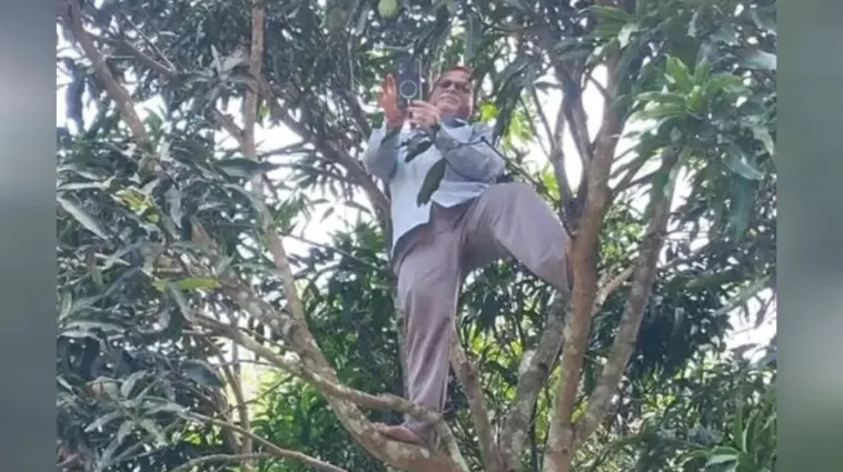 আমগাছে উঠে অনলাইনে হাজিরা দিলেন প্রধান শিক্ষক